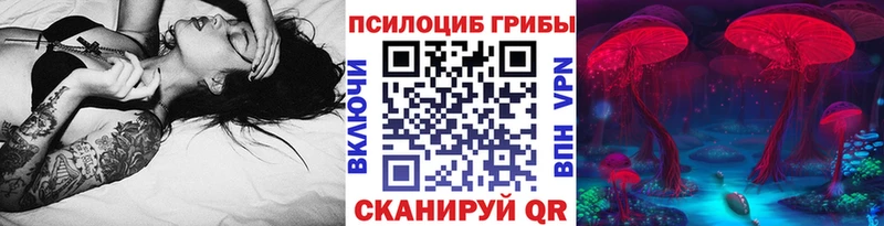 Галлюциногенные грибы Cubensis  Салехард 