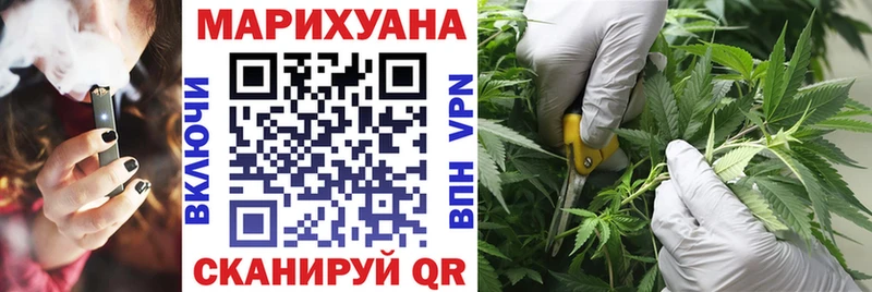 Бошки Шишки конопля  цена наркотик  Салехард 